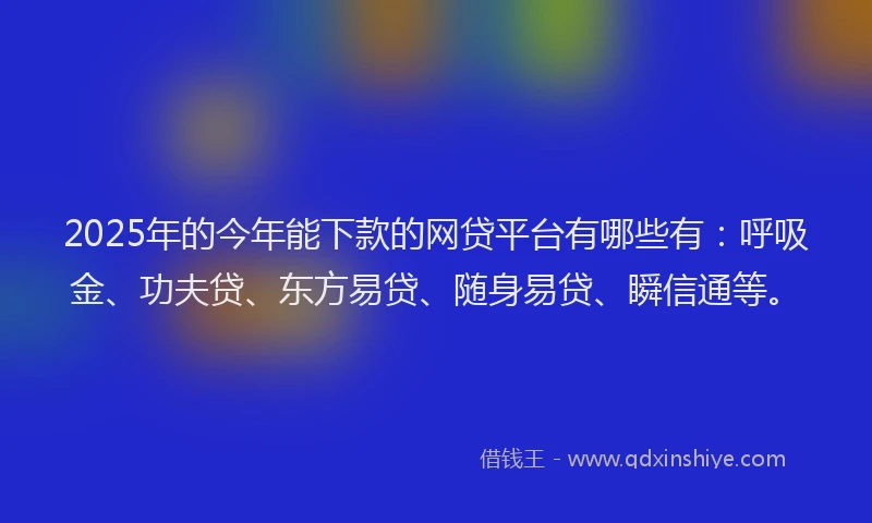 2025年的今年能下款的网贷平台有哪些有：呼吸金、功夫贷、东方易贷、随身易贷、瞬信通等。