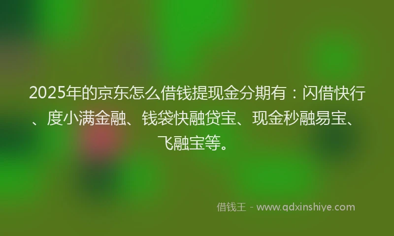 2025年的京东怎么借钱提现金分期有：闪借快行、度小满金融、钱袋快融贷宝、现金秒融易宝、飞融宝等。