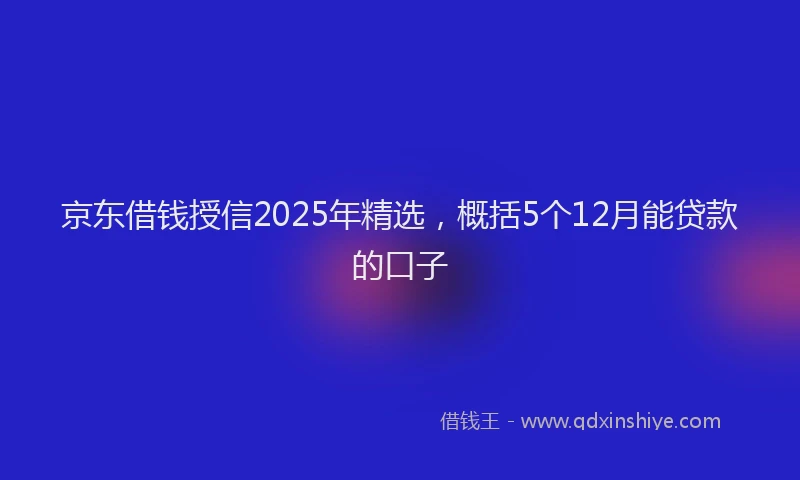 京东借钱授信2025年精选，概括5个12月能贷款的口子