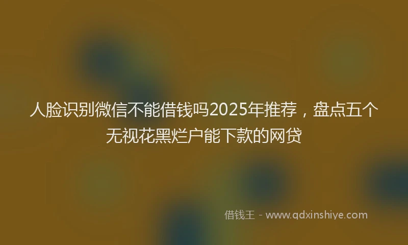 人脸识别微信不能借钱吗2025年推荐，盘点五个无视花黑烂户能下款的网贷