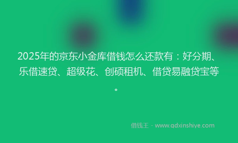 2025年的京东小金库借钱怎么还款有：好分期、乐借速贷、超级花、创硕租机、借贷易融贷宝等。