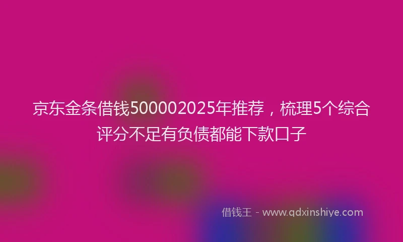 京东金条借钱500002025年推荐，梳理5个综合评分不足有负债都能下款口子