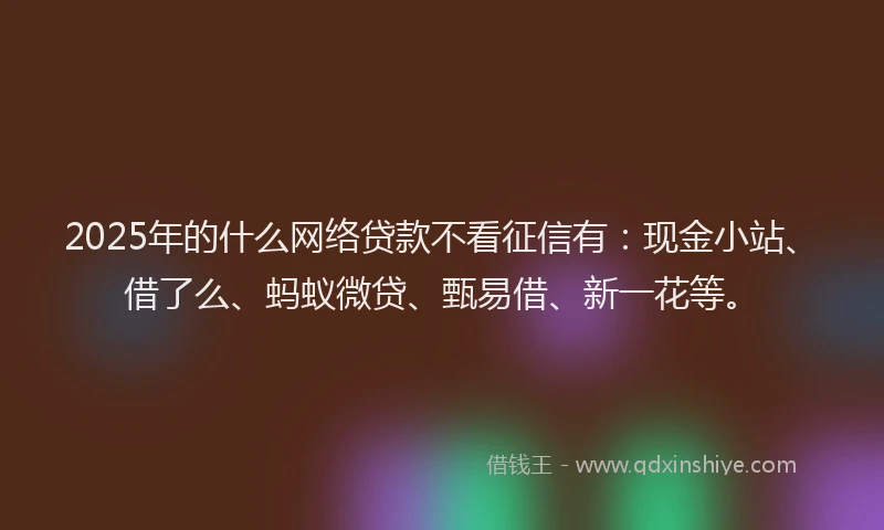 2025年的什么网络贷款不看征信有：现金小站、借了么、蚂蚁微贷、甄易借、新一花等。