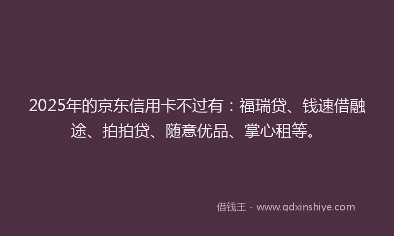 2025年的京东信用卡不过有：福瑞贷、钱速借融途、拍拍贷、随意优品、掌心租等。