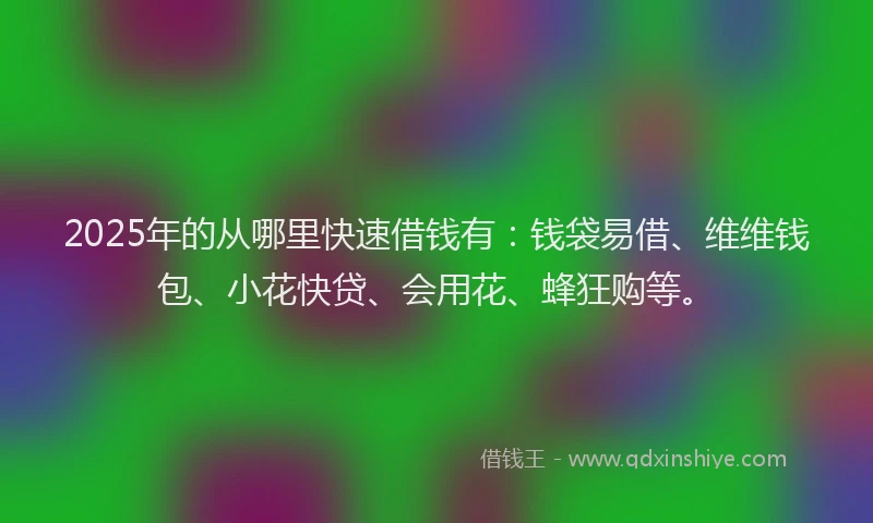 2025年的从哪里快速借钱有：钱袋易借、维维钱包、小花快贷、会用花、蜂狂购等。