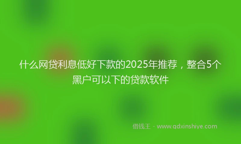 什么网贷利息低好下款的2025年推荐，整合5个黑户可以下的贷款软件
