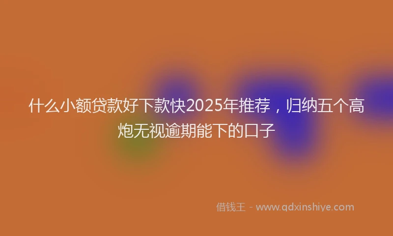什么小额贷款好下款快2025年推荐，归纳五个高炮无视逾期能下的口子