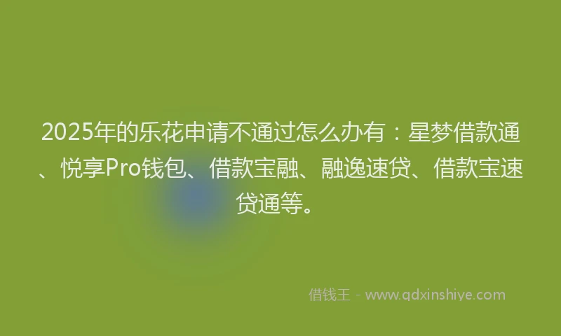 2025年的乐花申请不通过怎么办有：星梦借款通、悦享Pro钱包、借款宝融、融逸速贷、借款宝速贷通等。