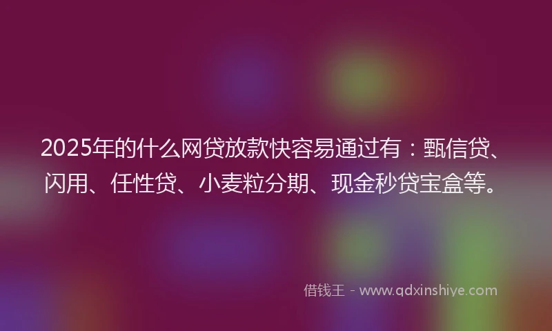 2025年的什么网贷放款快容易通过有：甄信贷、闪用、任性贷、小麦粒分期、现金秒贷宝盒等。