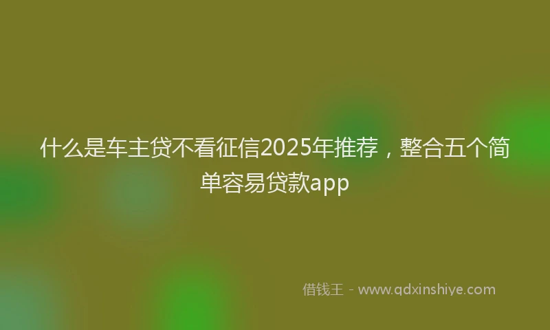 什么是车主贷不看征信2025年推荐,整合五个简单容易贷款app