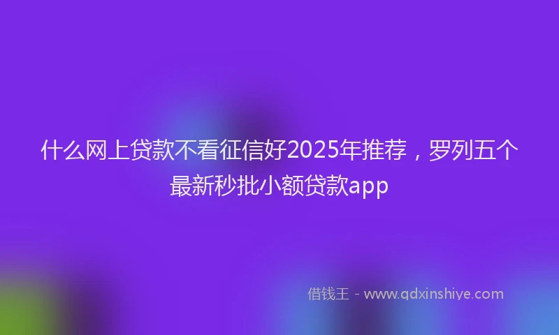 什么网上贷款不看征信好2025年推荐，罗列五个最新秒批小额贷款app