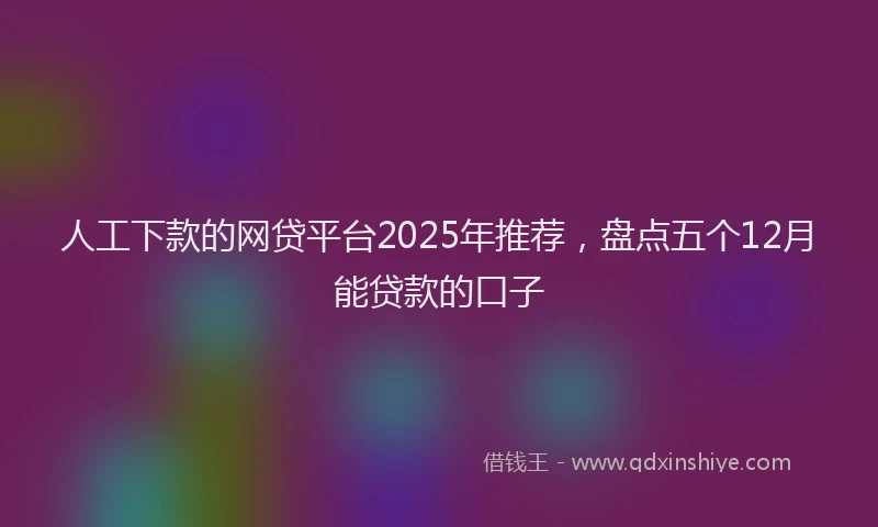 人工下款的网贷平台2025年推荐，盘点五个12月能贷款的口子