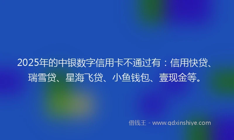2025年的中银数字信用卡不通过有：信用快贷、瑞雪贷、星海飞贷、小鱼钱包、壹现金等。