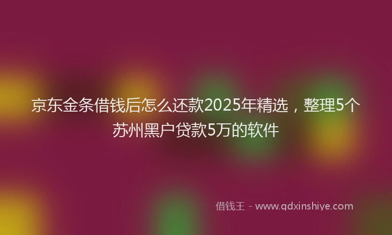 京东金条借钱后怎么还款2025年精选，整理5个苏州黑户贷款5万的软件