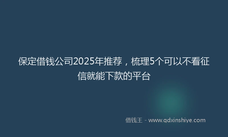 保定借钱公司2025年推荐，梳理5个可以不看征信就能下款的平台