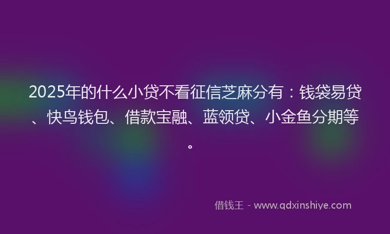 2025年的什么小贷不看征信芝麻分有：钱袋易贷、快鸟钱包、借款宝融、蓝领贷、小金鱼分期等。