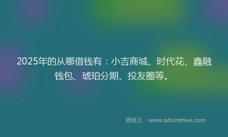2025年的从哪借钱有：小吉商城、时代花、鑫融钱包、琥珀分期、投友圈等。