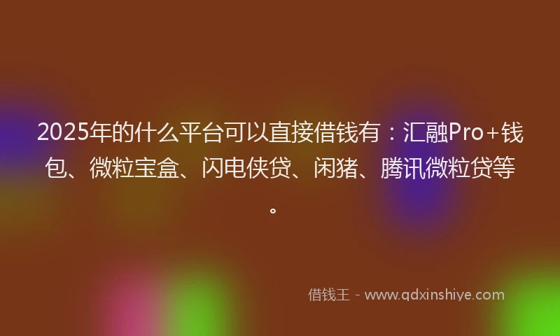 2025年的什么平台可以直接借钱有：汇融Pro+钱包、微粒宝盒、闪电侠贷、闲猪、腾讯微粒贷等。