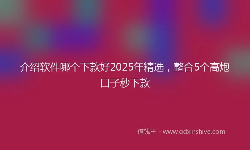 介绍软件哪个下款好2025年精选，整合5个高炮口子秒下款