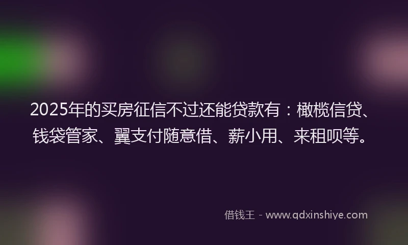 2025年的买房征信不过还能贷款有:橄榄信贷、钱袋管家、翼支付随意借、薪小用、来租呗等。