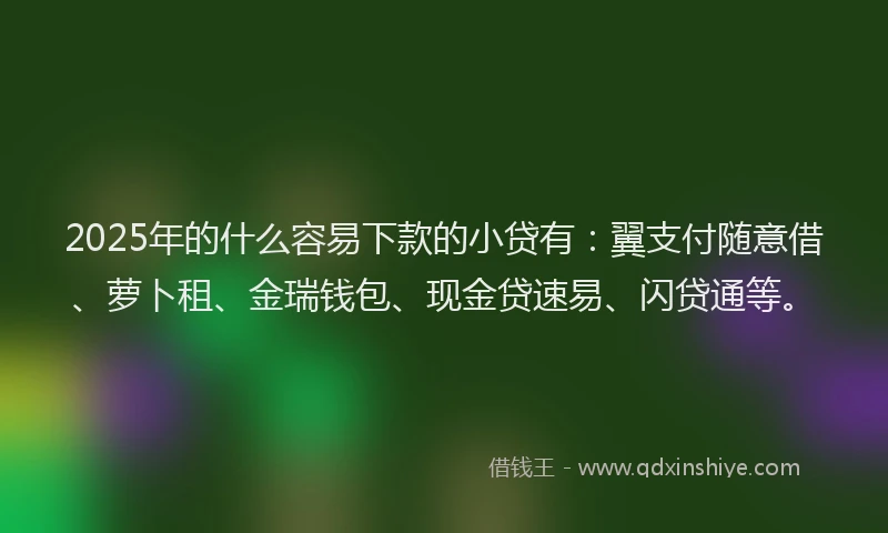 2025年的什么容易下款的小贷有:翼支付随意借、萝卜租、金瑞钱包、现金贷速易、闪贷通等。