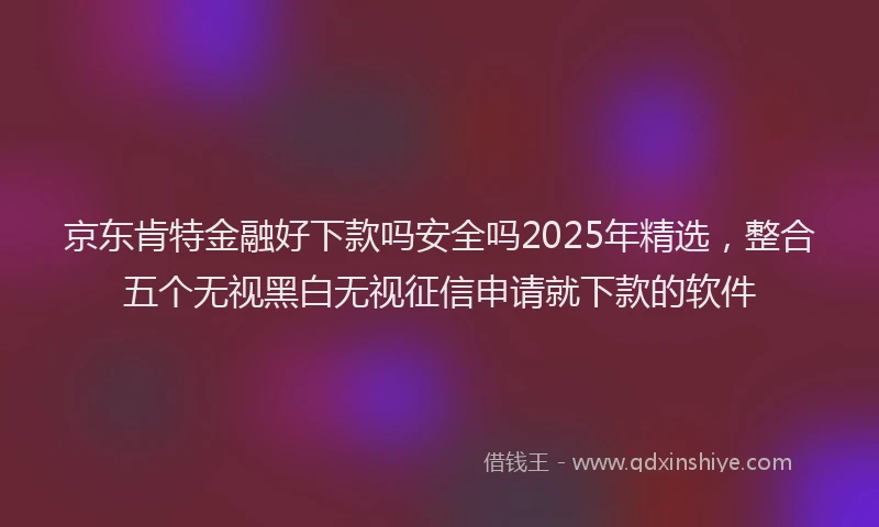 京东肯特金融好下款吗安全吗2025年精选，整合五个无视黑白无视征信申请就下款的软件
