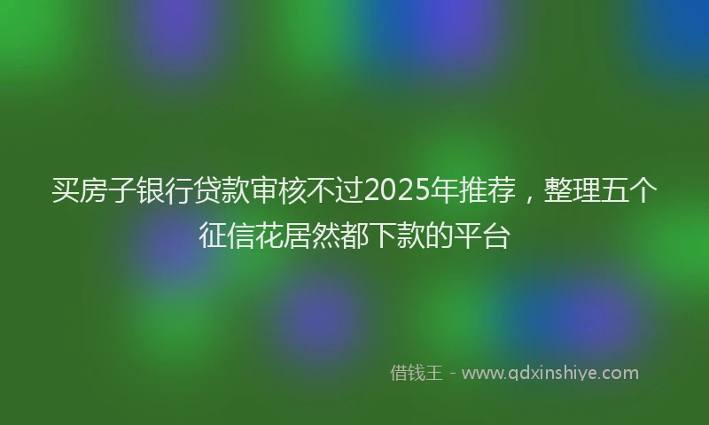 买房子银行贷款审核不过2025年推荐，整理五个征信花居然都下款的平台