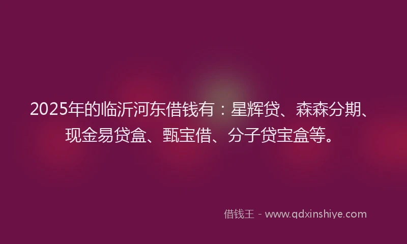 2025年的临沂河东借钱有:星辉贷、森森分期、现金易贷盒、甄宝借、分子贷宝盒等。