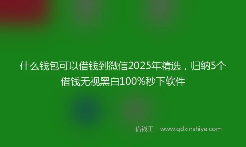 什么钱包可以借钱到微信2025年精选，归纳5个借钱无视黑白100%秒下软件