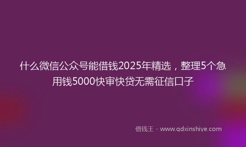 什么微信公众号能借钱2025年精选，整理5个急用钱5000快审快贷无需征信口子
