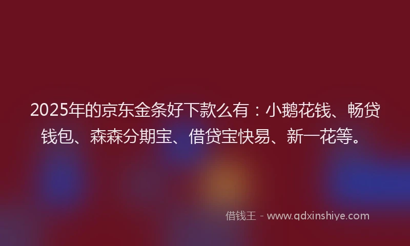 2025年的京东金条好下款么有:小鹅花钱、畅贷钱包、森森分期宝、借贷宝快易、新一花等。