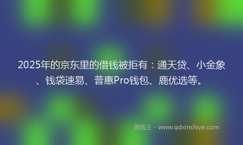 2025年的京东里的借钱被拒有：通天贷、小金象、钱袋速易、普惠Pro钱包、鹿优选等。