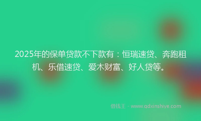 2025年的保单贷款不下款有：恒瑞速贷、奔跑租机、乐借速贷、爱木财富、好人贷等。
