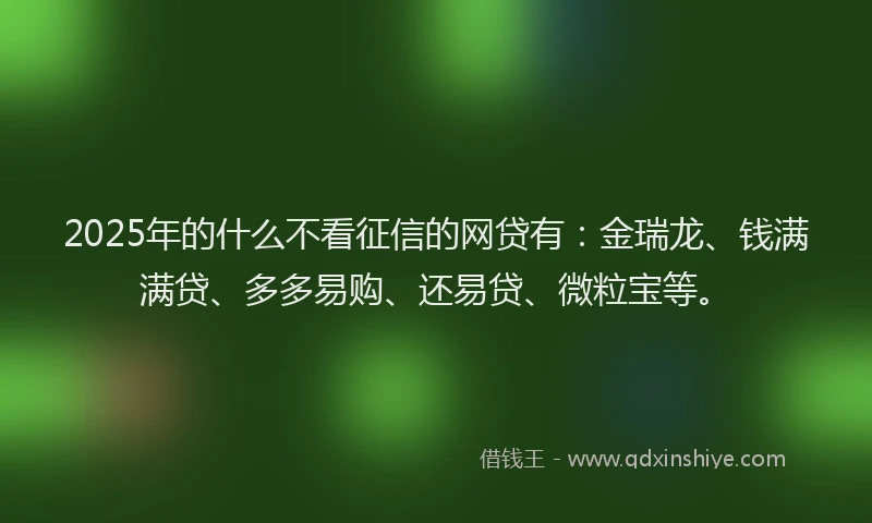 2025年的什么不看征信的网贷有：金瑞龙、钱满满贷、多多易购、还易贷、微粒宝等。