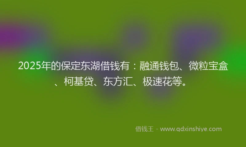 2025年的保定东湖借钱有：融通钱包、微粒宝盒、柯基贷、东方汇、极速花等。