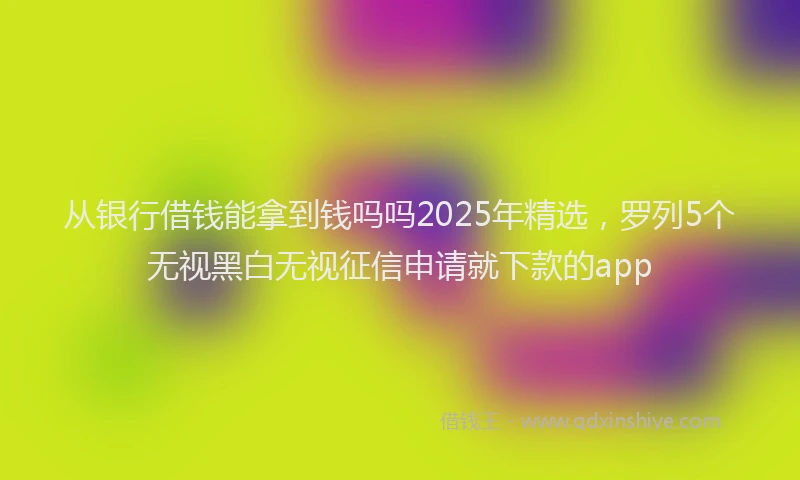 从银行借钱能拿到钱吗吗2025年精选，罗列5个无视黑白无视征信申请就下款的app