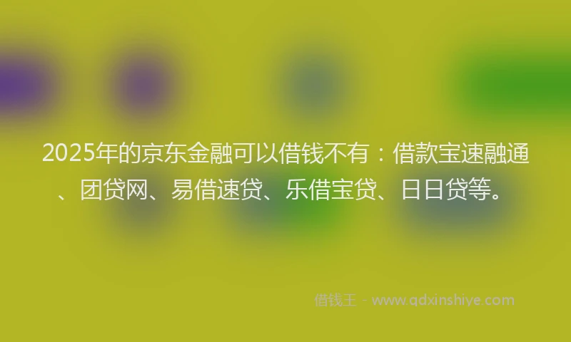 2025年的京东金融可以借钱不有：借款宝速融通、团贷网、易借速贷、乐借宝贷、日日贷等。