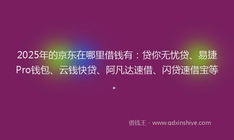 2025年的京东在哪里借钱有：贷你无忧贷、易捷Pro钱包、云钱快贷、阿凡达速借、闪贷速借宝等。