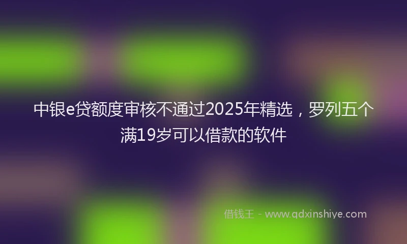 中银e贷额度审核不通过2025年精选，罗列五个满19岁可以借款的软件
