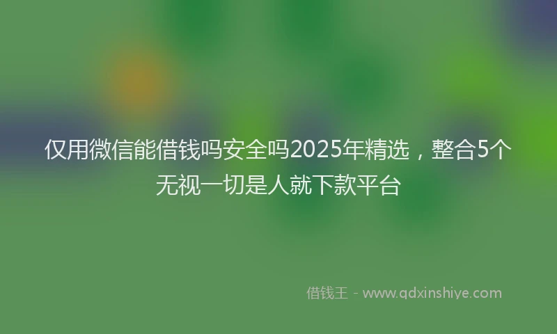 仅用微信能借钱吗安全吗2025年精选，整合5个无视一切是人就下款平台