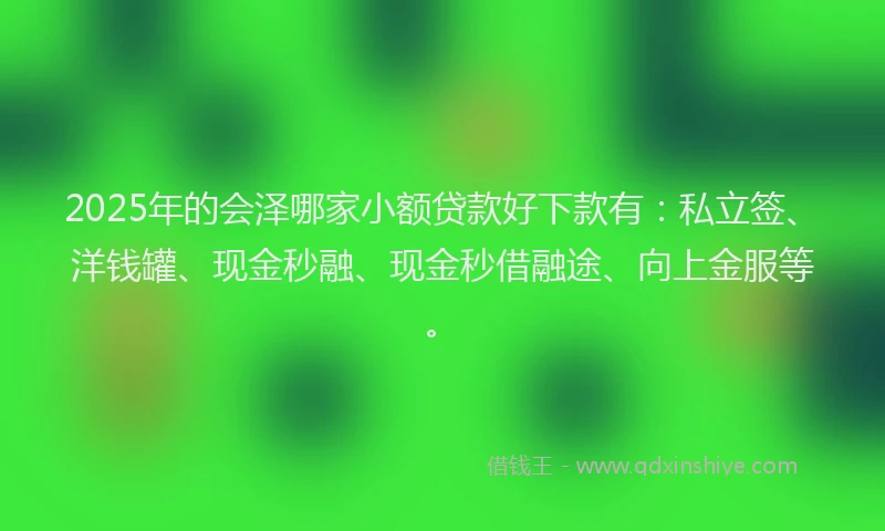 2025年的会泽哪家小额贷款好下款有：私立签、洋钱罐、现金秒融、现金秒借融途、向上金服等。