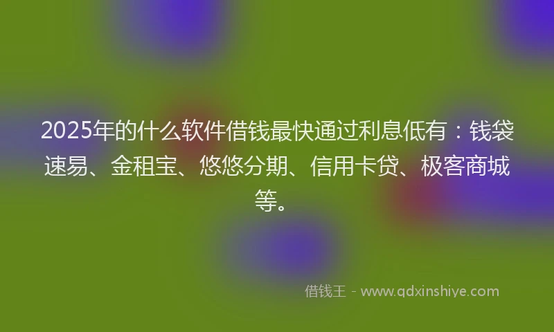 2025年的什么软件借钱最快通过利息低有：钱袋速易、金租宝、悠悠分期、信用卡贷、极客商城等。
