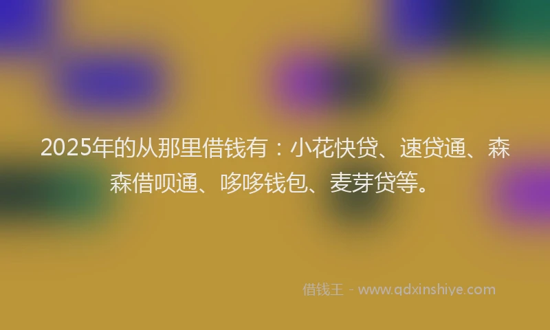 2025年的从那里借钱有：小花快贷、速贷通、森森借呗通、哆哆钱包、麦芽贷等。