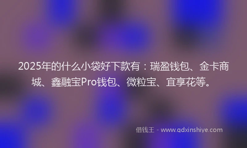 2025年的什么小袋好下款有：瑞盈钱包、金卡商城、鑫融宝Pro钱包、微粒宝、宜享花等。