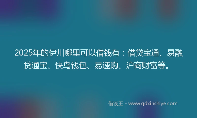 2025年的伊川哪里可以借钱有：借贷宝通、易融贷通宝、快鸟钱包、易速购、沪商财富等。