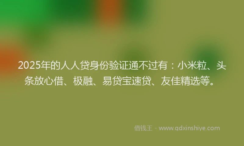 2025年的人人贷身份验证通不过有：小米粒、头条放心借、极融、易贷宝速贷、友佳精选等。