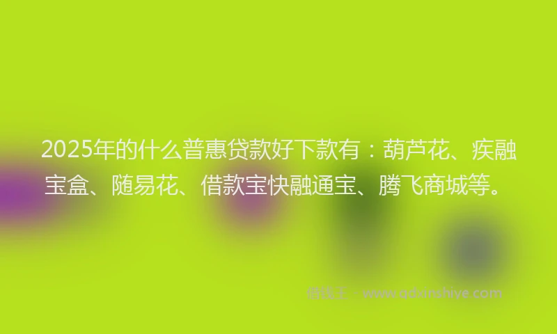 2025年的什么普惠贷款好下款有:葫芦花、疾融宝盒、随易花、借款宝快融通宝、腾飞商城等。