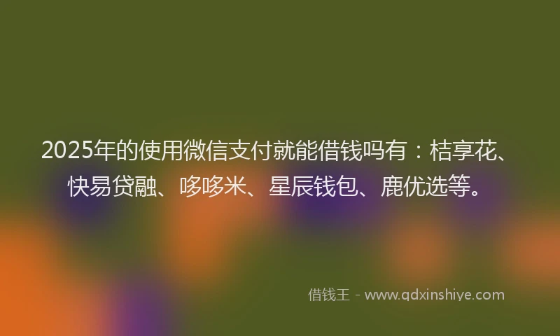 2025年的使用微信支付就能借钱吗有：桔享花、快易贷融、哆哆米、星辰钱包、鹿优选等。