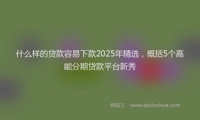 什么样的贷款容易下款2025年精选，概括5个高能分期贷款平台新秀