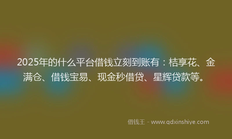 2025年的什么平台借钱立刻到账有：桔享花、金满仓、借钱宝易、现金秒借贷、星辉贷款等。